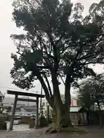 引本神社(三重県)