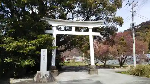 川津来宮神社の鳥居