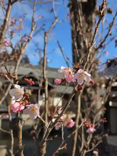 沙沙貴神社(滋賀県)