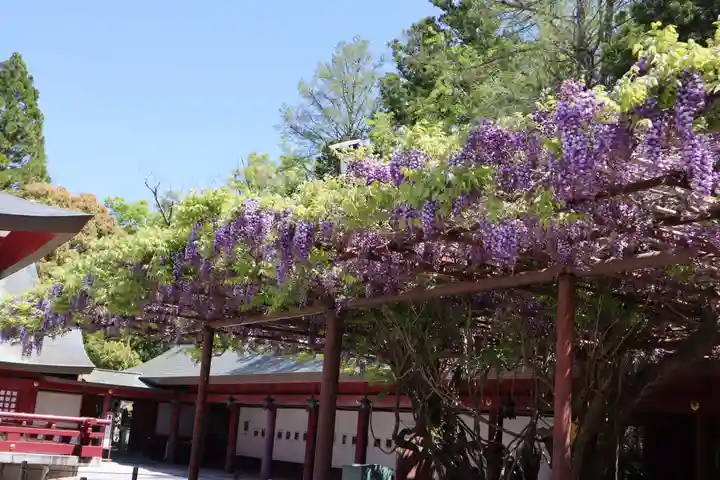 笠間稲荷神社の庭園