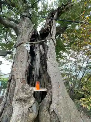 三ツ木神社(埼玉県)