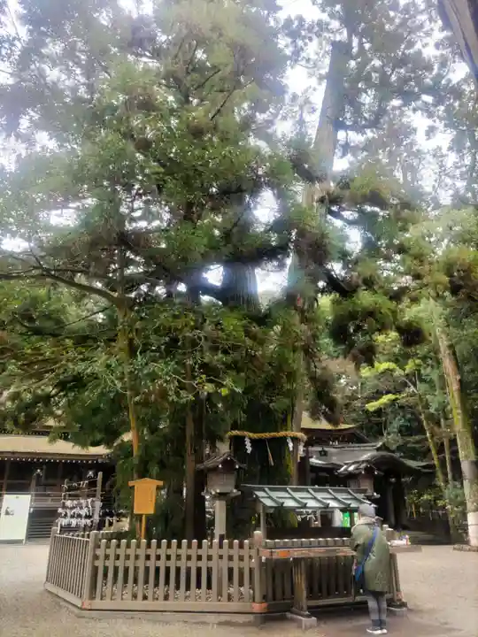 大神神社(奈良県)