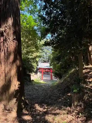 稲積神社(栃木県)