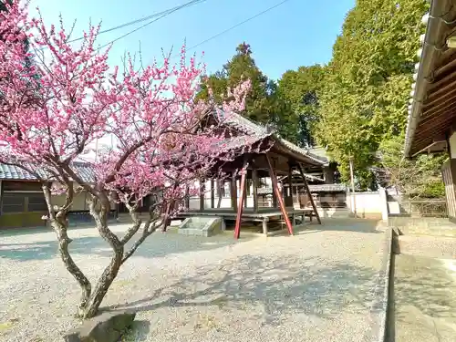 五十鈴神社(滋賀県)