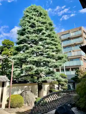 霊泉院(東京都)
