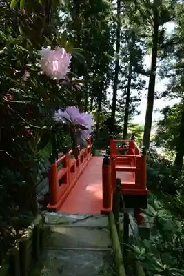岡寺(龍蓋寺)(奈良県)
