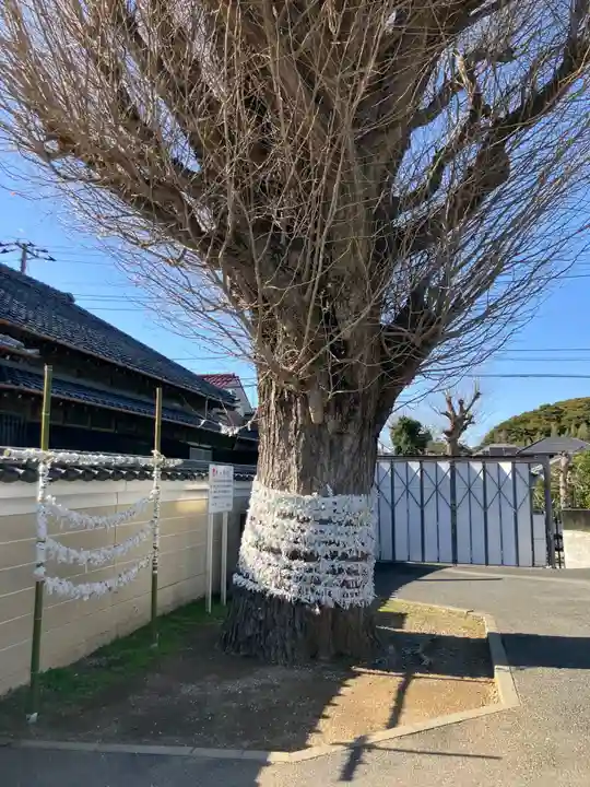 子守神社(千葉県)