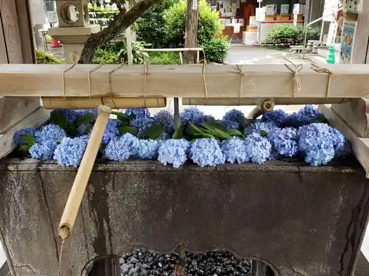 鳩森八幡神社の手水舎