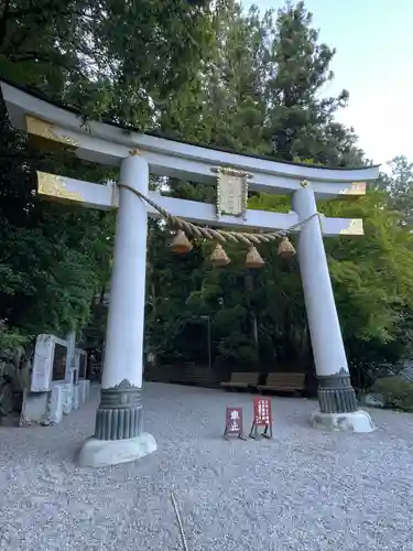 宝登山神社の鳥居