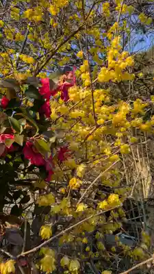 八王子神社(滋賀県)