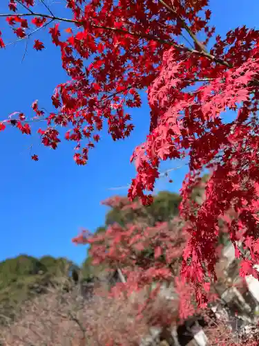 常樂寺(滋賀県)
