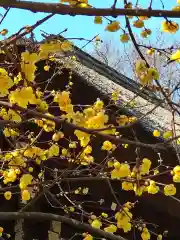 横浜　西方寺の自然