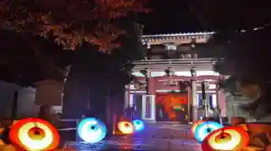 【11/26まで】京都オススメお寺のライトアップ【本法寺・妙顕寺・妙覚寺】