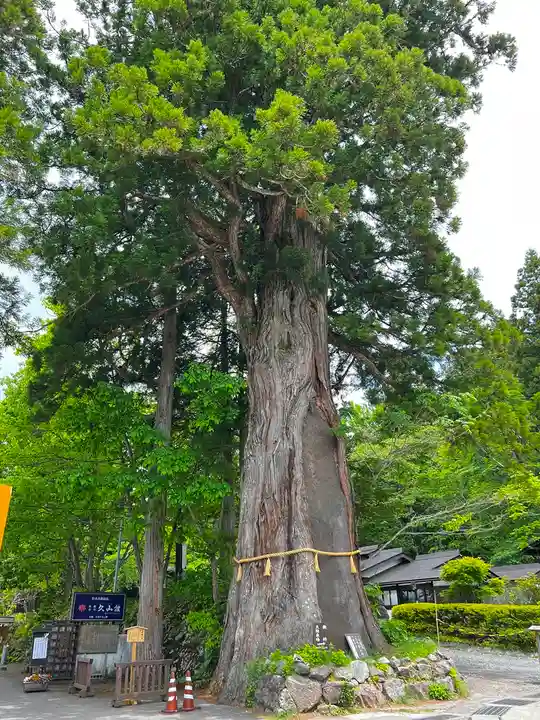戸隠神社中社(長野県)