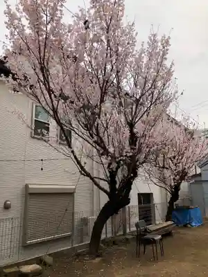牛込柳町天祖神社の自然