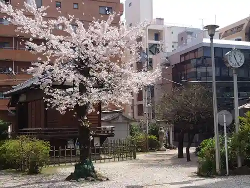 平河天満宮の自然