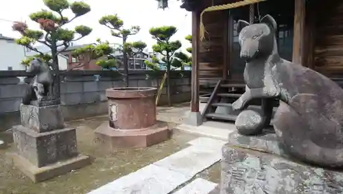 徳島稲荷神社の狛犬