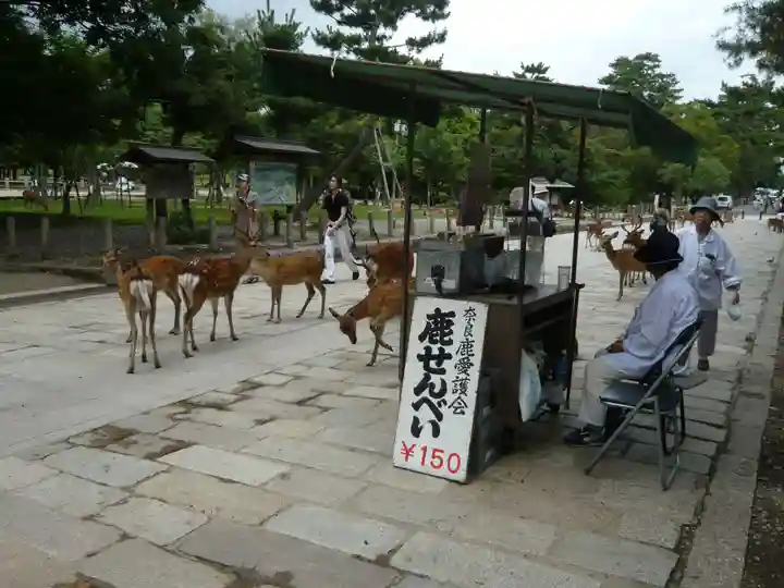 東大寺の動物