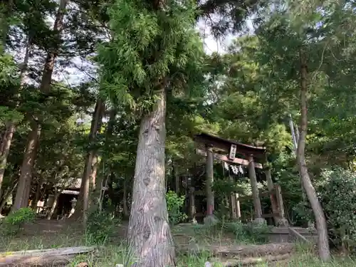 面足神社の鳥居