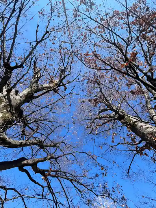 前川神社(埼玉県)