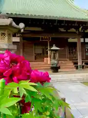 龍華寺の本殿