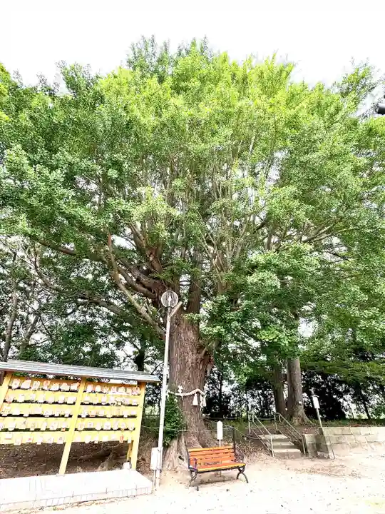白子神社(千葉県)
