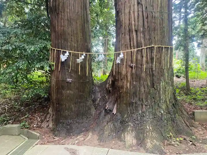 日吉神社(千葉県)