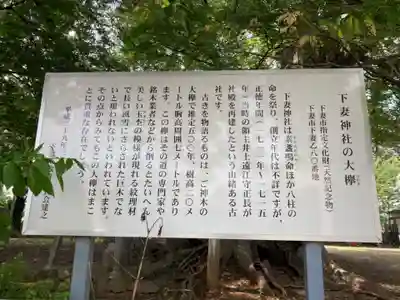 下妻神社(茨城県)