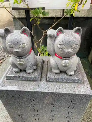 今戸神社の狛犬