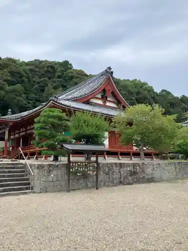 金剛寺(大阪府)