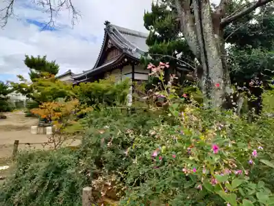 圓光禅寺(円光寺)の本殿・本堂