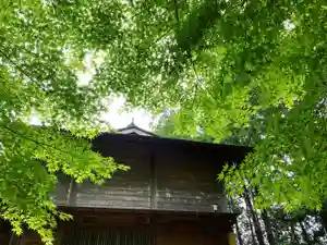 滑川神社 - 仕事と子どもの守り神の自然(2021年06月09日(水) 10時11分21秒投稿)