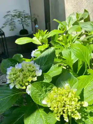 龍雲院(京都府)