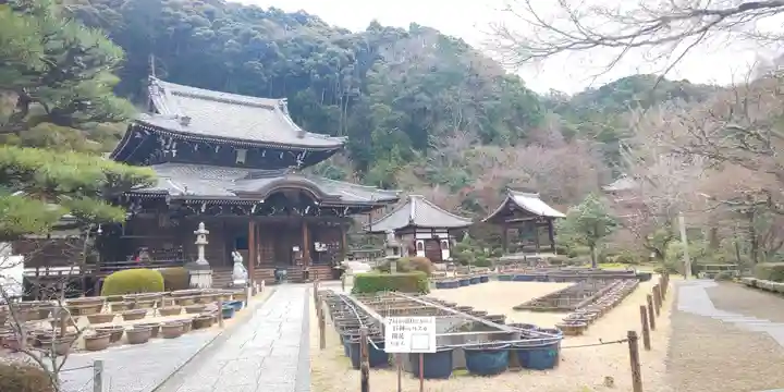 三室戸寺の庭園
