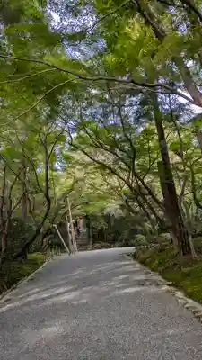 龍安寺(京都府)