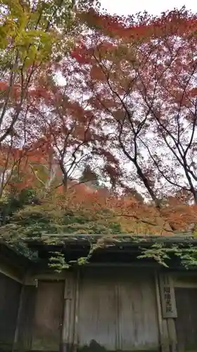 光明寺瑠璃光院の山門