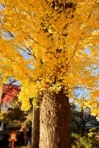 明王院（満願寺別院）の自然