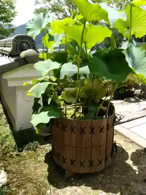 達身寺のその他建物