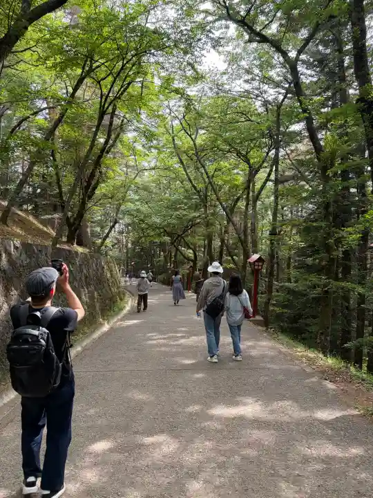 新倉富士浅間神社の{uncategorized: "未分類", other: "その他", undefined: "問題あり", building: "その他建物", grave: "お墓", sacred_gate: "鳥居", guardian: "狛犬", statue: "像", buddha: "仏像", history: "歴史", nature: "自然", garden: "庭園", animal: "動物", pagoda: "塔", temizu: "手水舎", mountain_gate: "山門・神門", sanctuary: "本殿・本堂", subordinate: "末社・摂社", art: "芸術", scenery: "景色", jizo: "地蔵", ema: "絵馬", goshuin: "御朱印", omikuji: "おみくじ", items: "授与品その他", amulet: "お守り", goshuincho: "御朱印帳", eats: "食事", festival: "お祭り", votive_dance: "神楽", shichigosan: "七五三参", wedding: "結婚式", experience: "体験その他", initially: "初詣", around: "周辺", anti_infection: "感染症対策"}