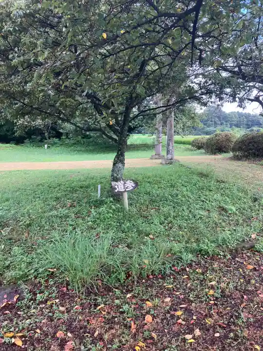 神武神社(栃木県)