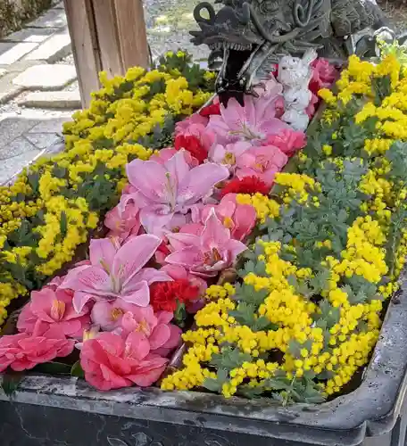柳谷観音　楊谷寺(京都府)