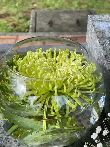 新川皇大神社の手水舎