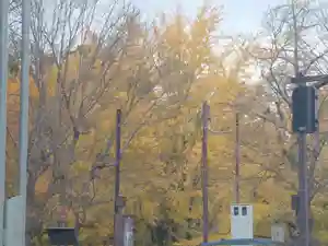 刺田比古神社(和歌山県)(2025年12月08日(月) 05時50分06秒投稿)