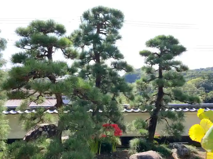 瀧泉寺のその他建物