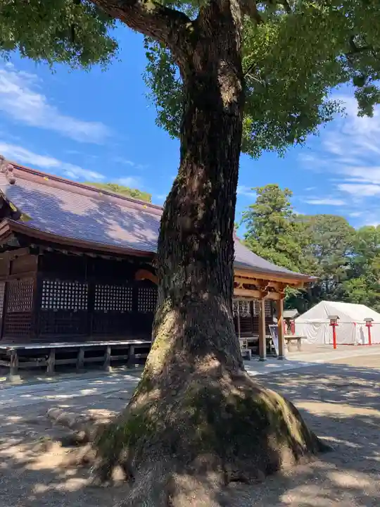 鷲宮神社(埼玉県)