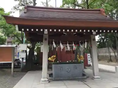 富岡八幡宮の手水舎