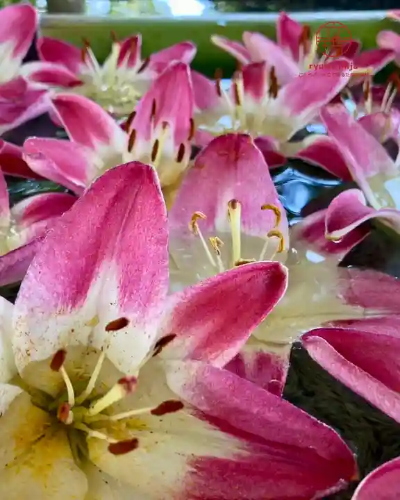 立志神社(滋賀県)