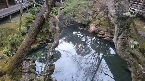 禅林寺（永観堂）の庭園