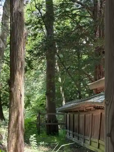 諏訪大社下社春宮(長野県)