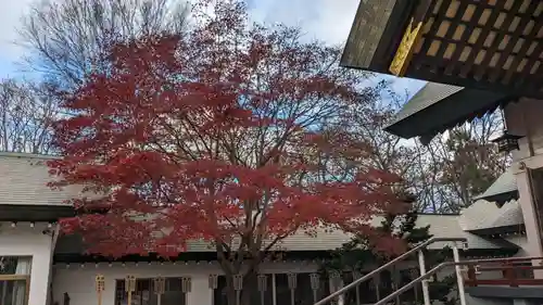 中嶋神社の庭園